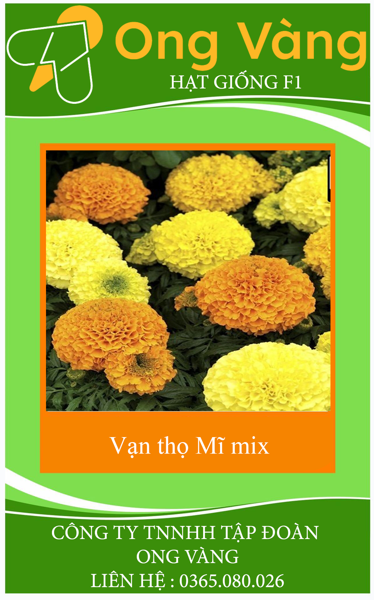 Hạt giống hoa Cúc Vạn Thọ Mỹ MIX