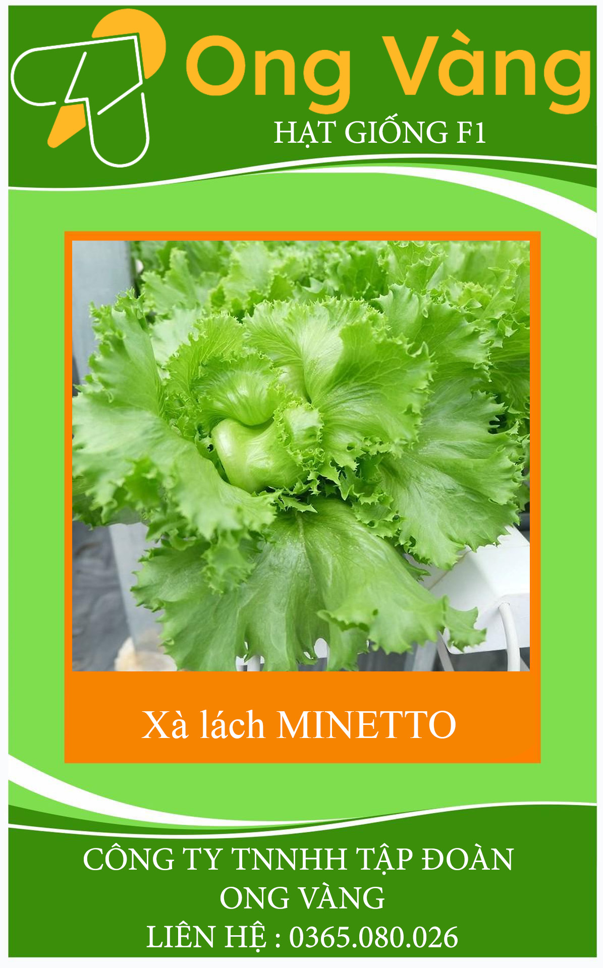 Hạt giống Xà lách MINETTO
